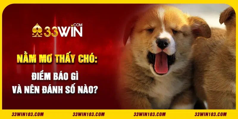 Nằm mơ thấy chó: Điềm báo gì và nên đánh số nào?