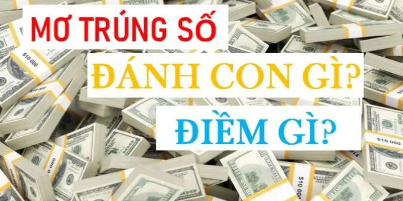 Các con số dựa trên cảm xúc khi mơ